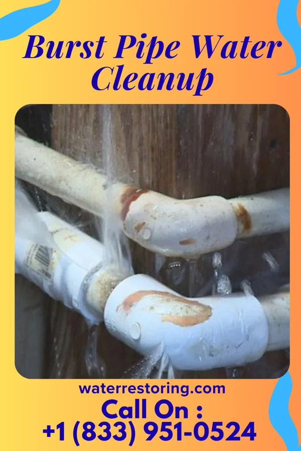 Burst Pipe Water Cleanup in Westworth Village, TX