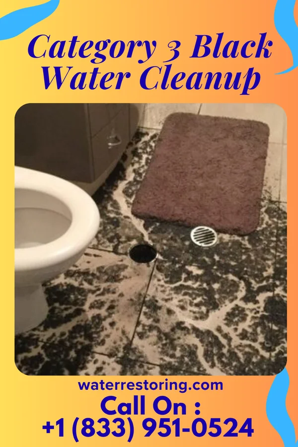 Category 3 Black Water Cleanup in Westworth Village, TX